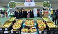 جشنواره انبه پاکستان با هدف افزایش صادرات