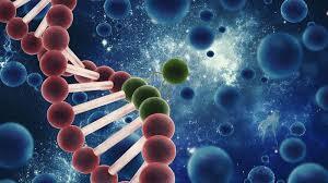 سلول درمانی عوارض عصبی دیابت