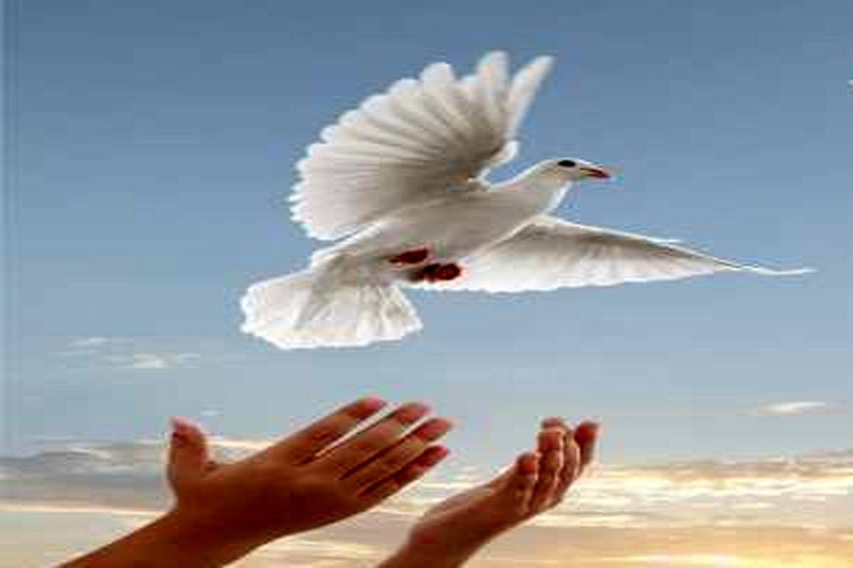 رهایی یک محکوم به قصاص در زنجان