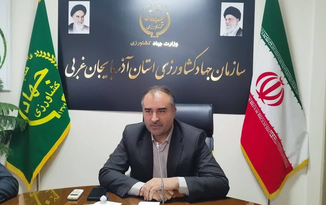 افزایش بیش از ۵۱ درصدی جوجه‌ریزی واحد‌های مرغداری در آذربایجان‌غربی