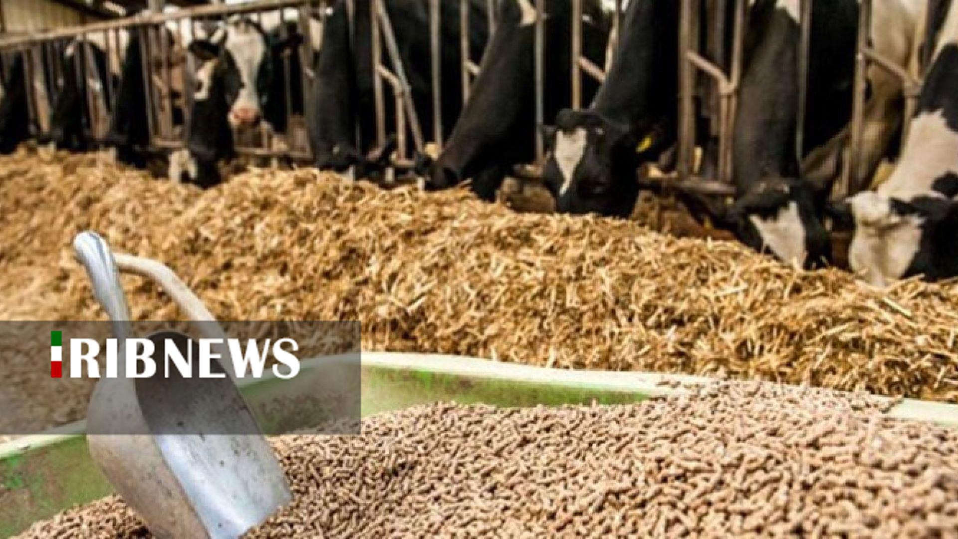 آغاز توزیع ۱۲ هزار و ۵۰۰ تن خوراک دام در خراسان شمالی