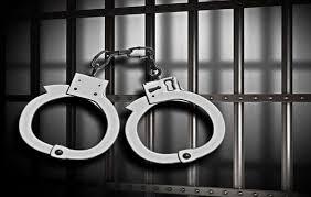 دستگیری سارقان حرفه‌ای در ماهشهر