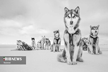 عکس‌های منتخب خبری جهان