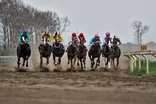 آغاز فصل جدید رقابتهای سوارکاری پاییزه گلستان از فردا چهارشنبه ۲۱ آبان در گنبدکاووس آغاز فصل جدید رقابتهای سوارکاری پاییزه گلستان از فردا چهارشنبه ۲۱ آبان در گنبدکاووس