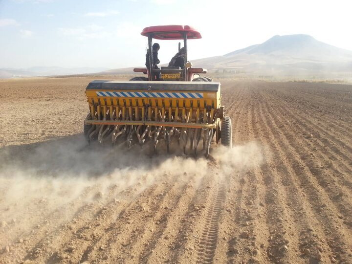 آغاز کشت گندم در حاجی آباد آغاز کشت گندم در حاجی آباد