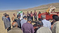 برگزاری کاروان ترویج بهرهوری الگوی کشت در فارس