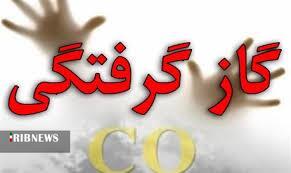 مسمومیت ۴ نفر با گاز مونوکسیدکربن در خراسان شمالی