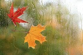 فیروزآباد با ۱۳۳ میلیمتر باران رکورد دار بارش ها در فارس