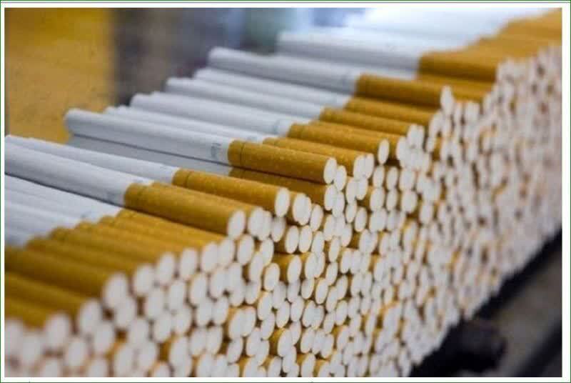 کشف بیش از ۵۱۴ هزار نخ سیگار قاچاق در پاوه