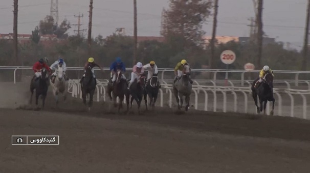 معرفی برترینهای مسابقات کورس سوار کاری پاییزه کشور در گنبدکاووس معرفی برترینهای مسابقات کورس سوار کاری پاییزه کشور در گنبدکاووس