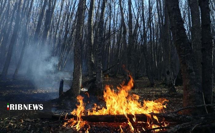 شعلهور شدن دوباره یک نقطه از جنگلهای نمنق در اثر باد شعلهور شدن دوباره یک نقطه از جنگلهای نمنق در اثر باد