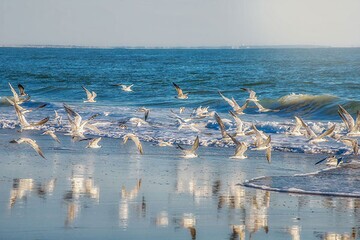 پیش بینی وضعیت جوی، دریایی ودمایی هرمزگان ۶ آذر پیش بینی وضعیت جوی، دریایی ودمایی هرمزگان ۶ آذر