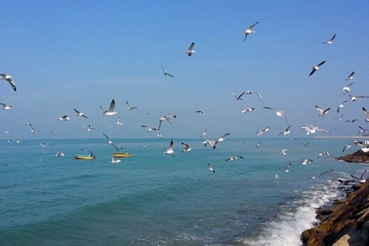 پیش بینی وضعیت جوی، دریایی ودمایی هرمزگان ۸ آذر