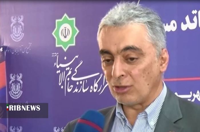 سعدمحمدی - مدیرعامل شرکت ملی صنایع مس ایران